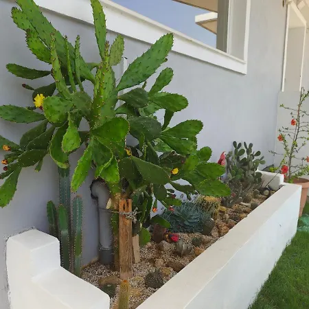 Apartament Stellina's New 5min From Suda